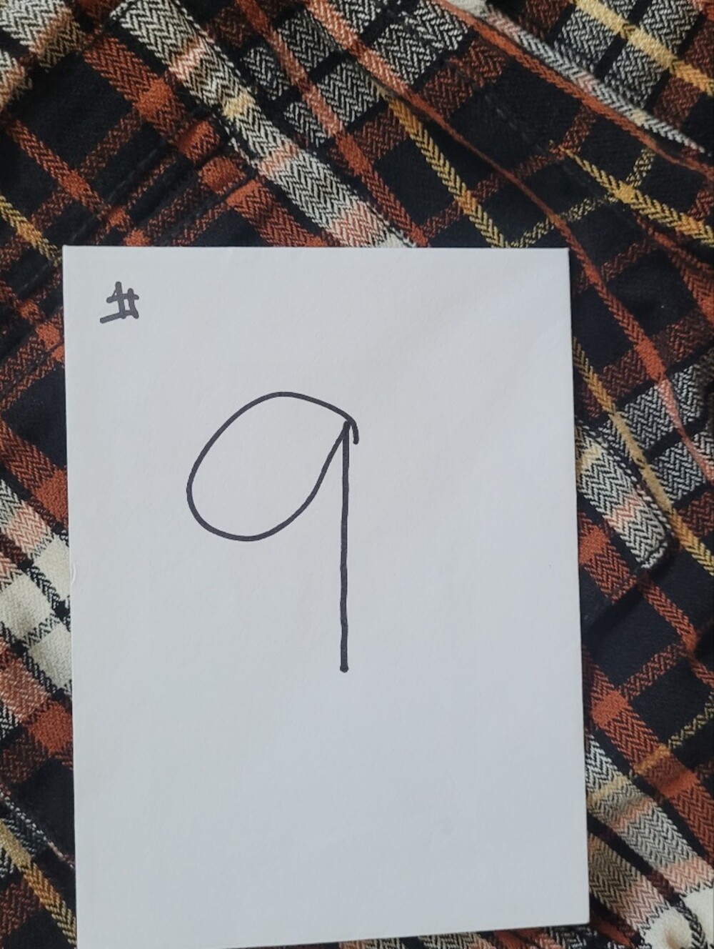 Free People Plaid Tahiti - Picture 8 of 8